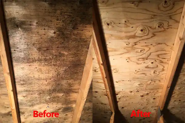 water damage restoration service Fairhaven